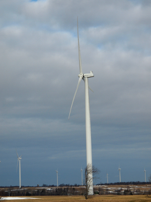 [One large, white windmill with a tree at its base giving size perspective. In the far distance are six more windmills as well as other trees appearing very small in comparison to the windmills.]